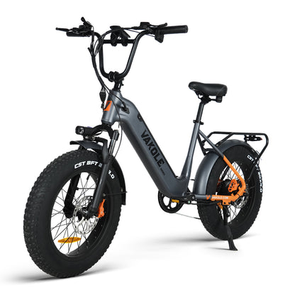 Vakole SG20 250W 20" Fatbike Elektrofahrrad 749Wh Samsung Akku E-Bike