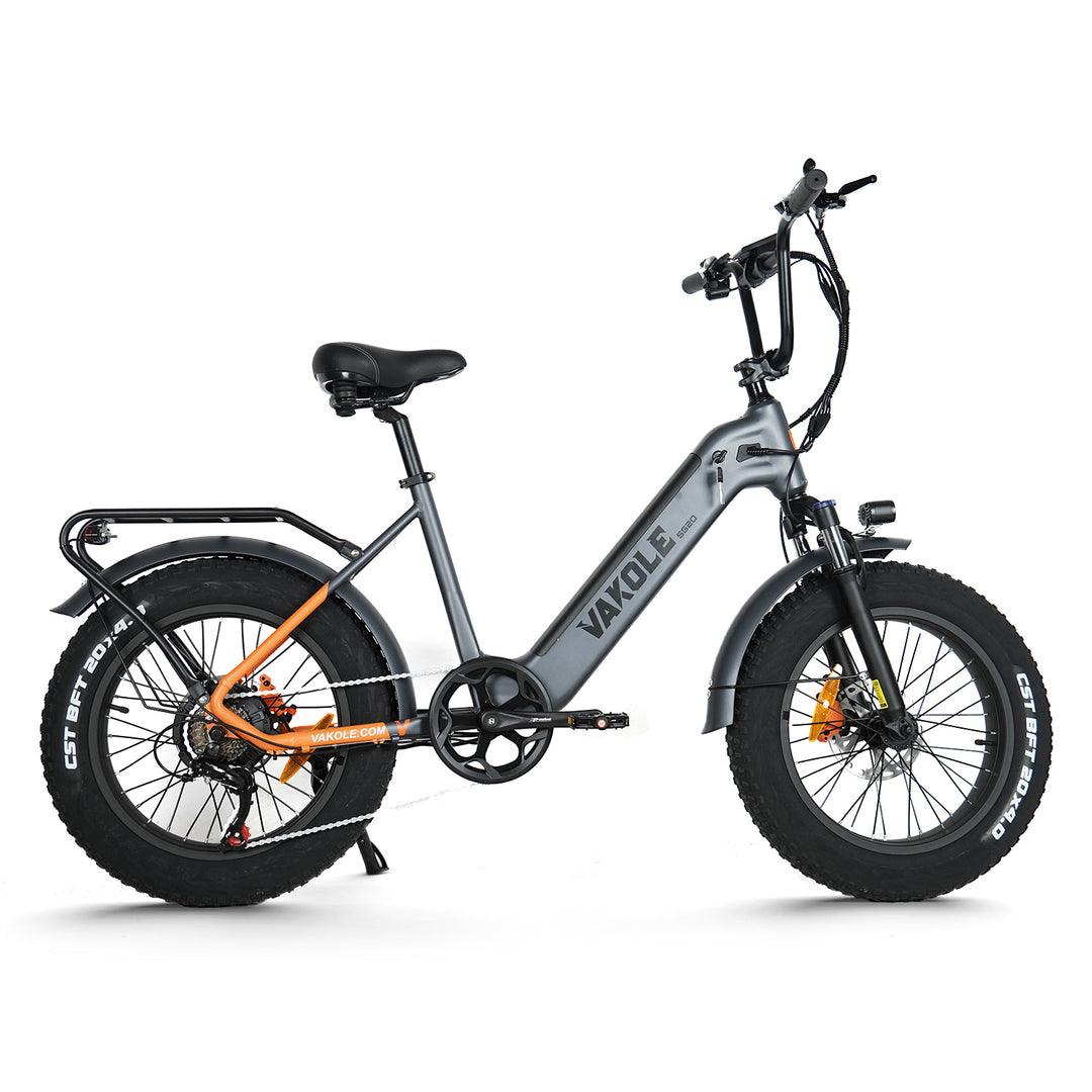 Vélo électrique pliable régulier en fibre de carbone Revolt (léger)