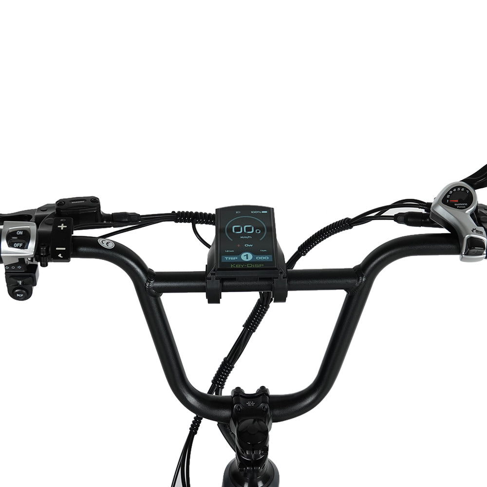 Vakole SG20 250W 20" Electric Fat Bike 749Wh Samsung Battery E-bike