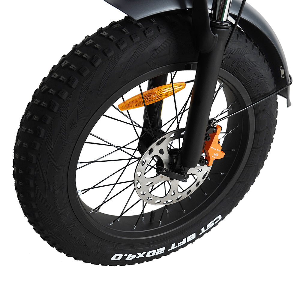 Vakole SG20 20" Fat Bike Bicicletta da Trekking Elettrica 750W Batteria LG 48V 15.6Ah