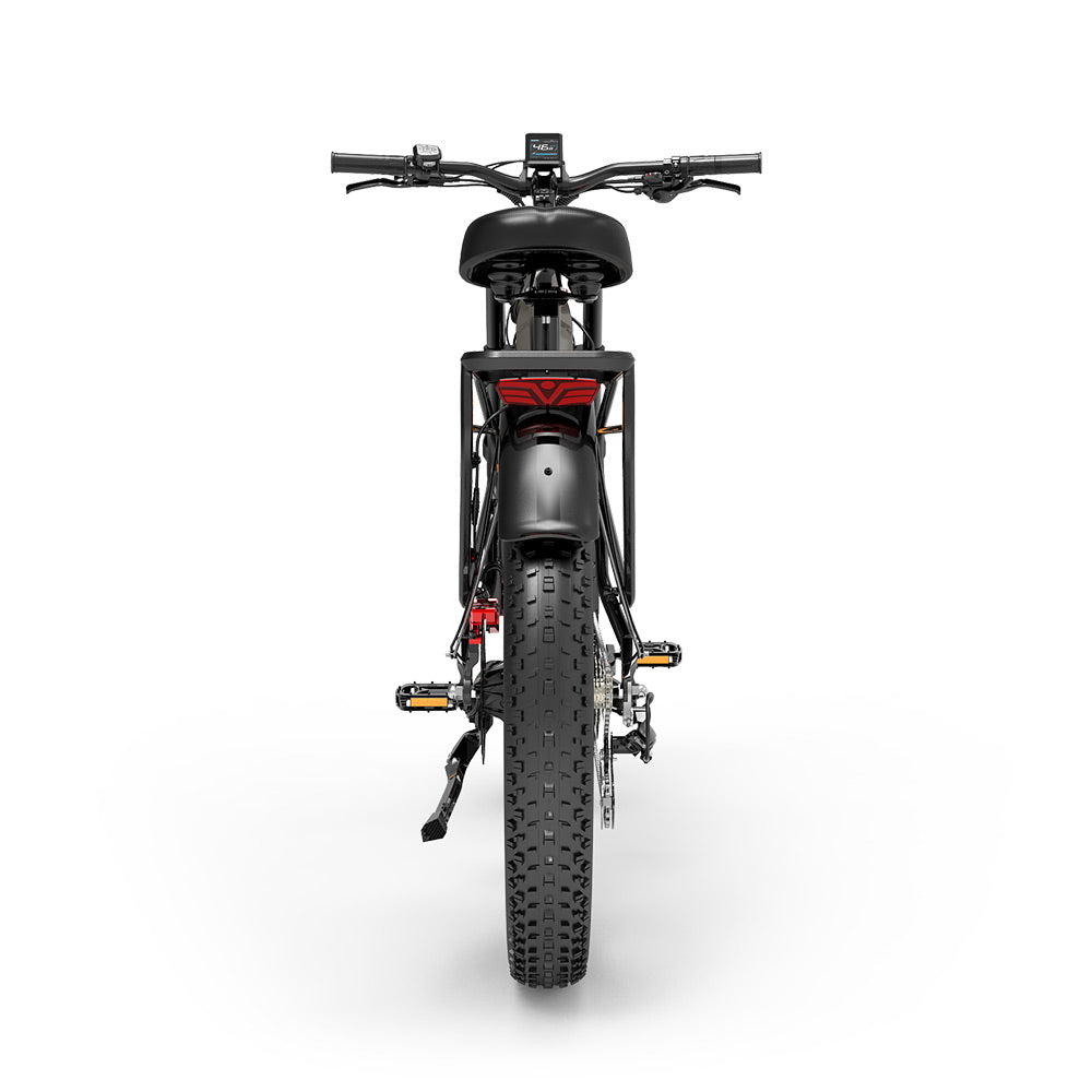 Lankeleisi MG800 MAX 1000W*2 26" Fat Bike Dual Motor E-Mountain Bike 20Ah Samsung Battery E-MTB [Pre-Order]