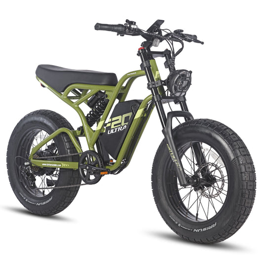 Fafrees F20 Ultra 750W 20" Fat Bike elettrica 1200Wh LG Batteria Ciclomotore E-bike