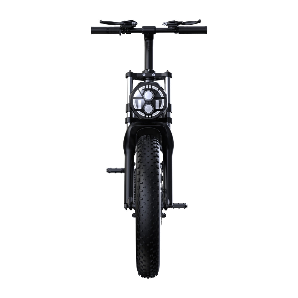 PHNHOLUN C8 1000W 20" Fat Bike Full Suspension 960Wh E-Mountain Bike