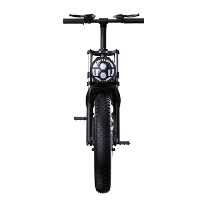 PHNHOLUN C8 1000W 20" Fat Bike Sospensione Completa 960Wh E-Mountain Bike