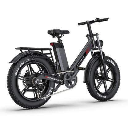 PHNHOLUN C6 Pro 1000W 20" Fat Bike Full Suspension 480Wh E-Mountain Bike