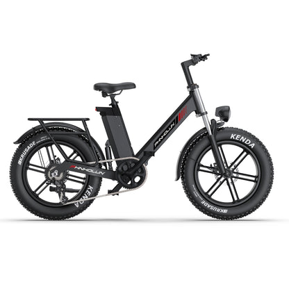 PHNHOLUN C6 Pro 1000W 20" Fatbike Vollfederung 480Wh E-Mountainbike