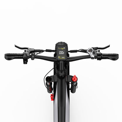 DUOTTS F26 750W*2 26" Double Moteur Fat Bike électrique avec 960Wh Samsung Batterie SUV E-bike