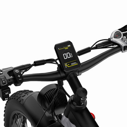 DUOTTS F26 750W*2 26" Doppelmotor Fatbike Elektrofahrrad 960Wh Samsung Akku SUV E-Bike