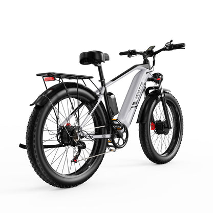 DUOTTS F26 750W*2 26" Dual Motor Electric Fat Bike 960Wh Samsung Battery SUV E-bike