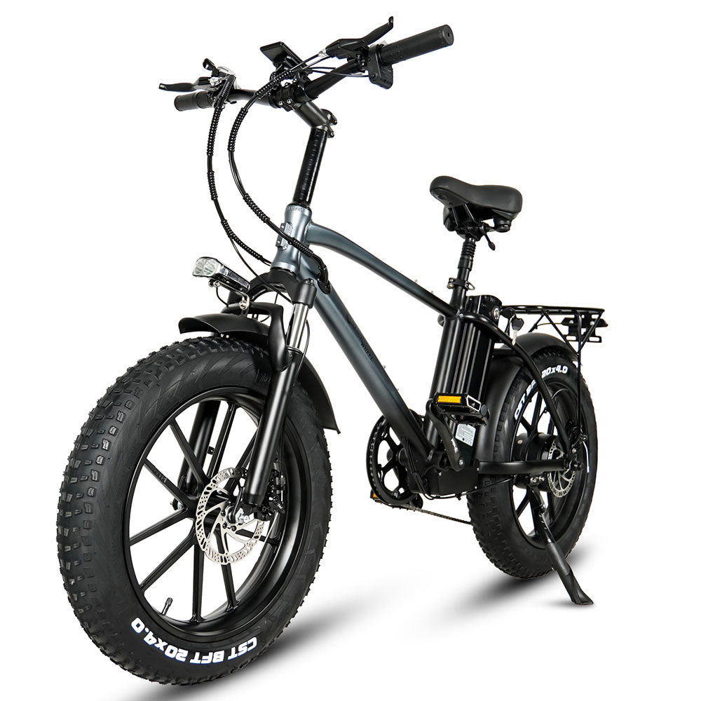 CMACEWHEEL T20 750W 20" Fat Bike Electric Mountain Bike Cargo E-bike 18Ah Battery