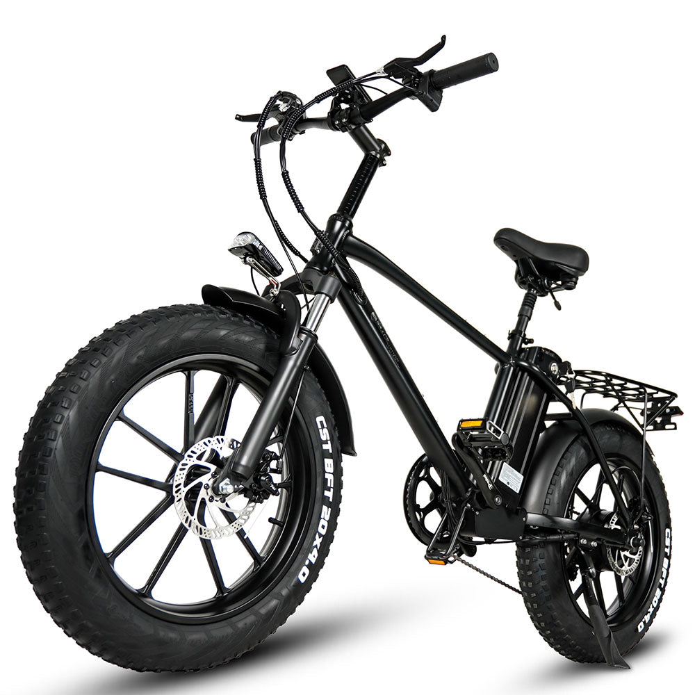 CMACEWHEEL T20 750W 20" Fat Bike Electric Mountain Bike Cargo E-bike 18Ah Battery