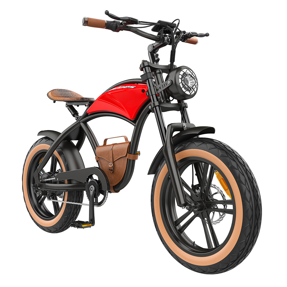 Hidoes B10 1000W 20" Fat Bike Electric Bike 600Wh Moped E-bike