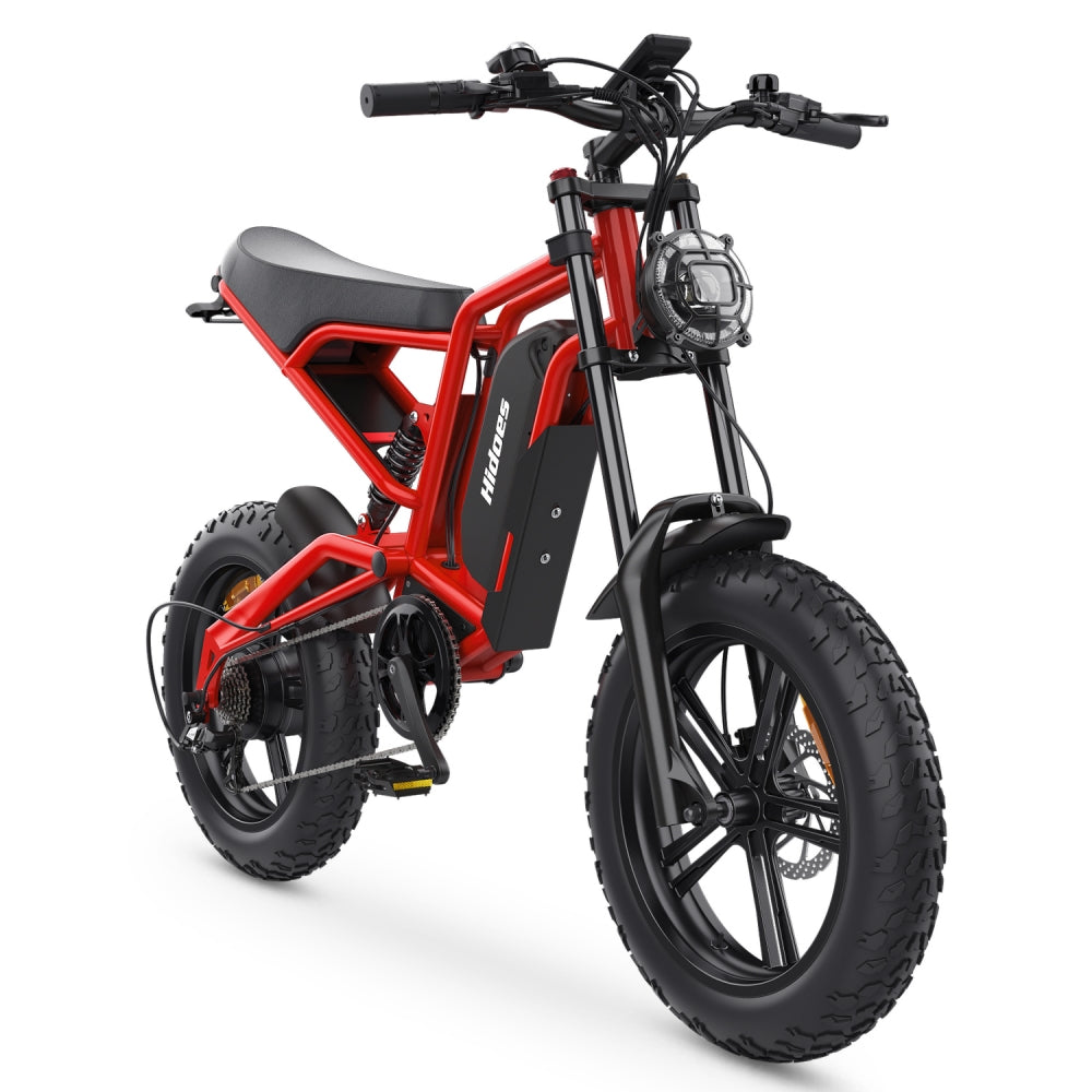 Hidoes B6 Max 1200W 20" Fat Bike Elektrische Fiets 720Wh Moped E-bike