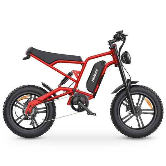 Hidoes B6 1200W 20" Fat Bike Electric Bike 720Wh Moped E-bike