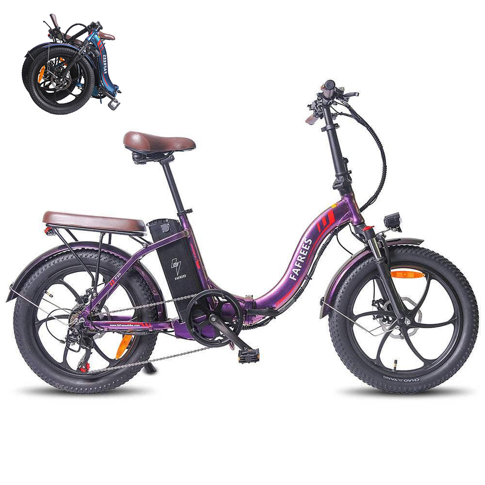 Fafrees F20 Pro 250W VTC électrique Pliable 20" 648Wh City E-bike