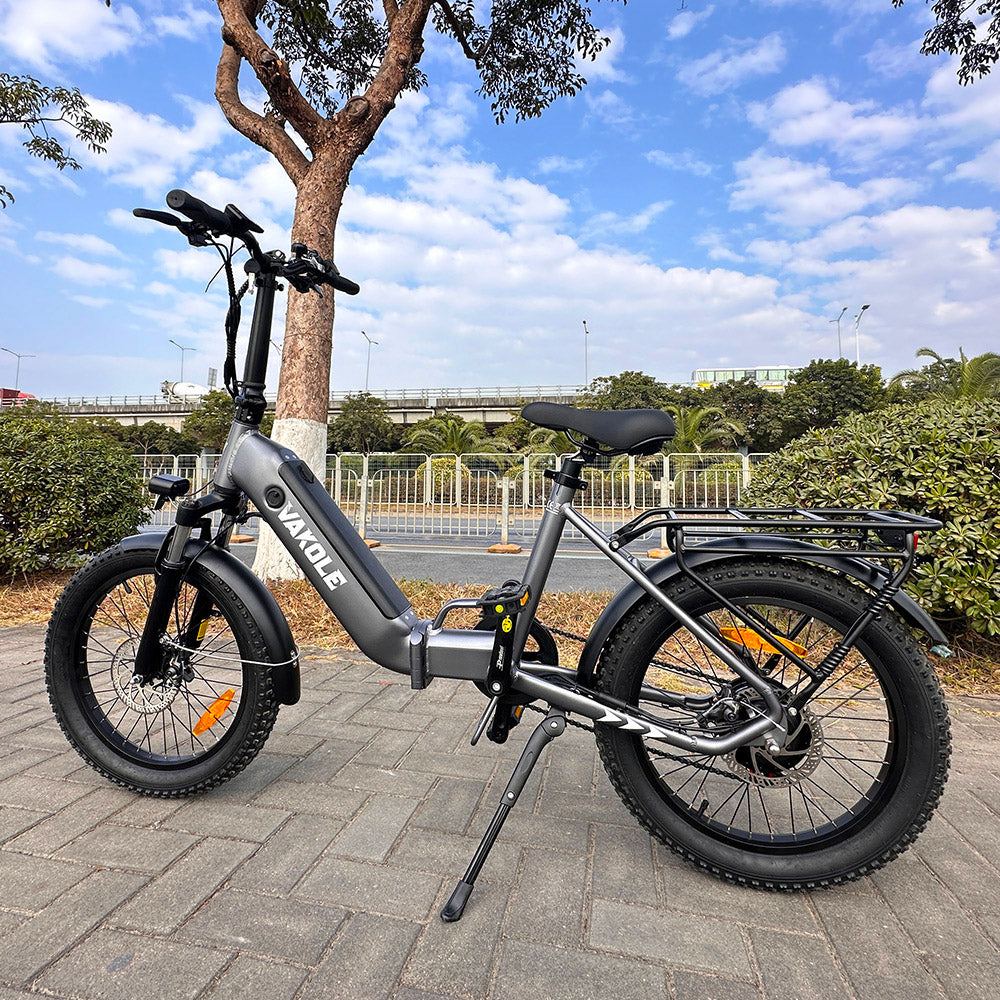 Vakole VT4 * 2 e-bikebundel [Pre-Order]