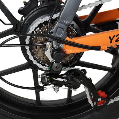 Vakole Y20 Pro 750W 20" Fat Bike elettrica pieghevole con supporto batteria Samsung da 20 Ah APP