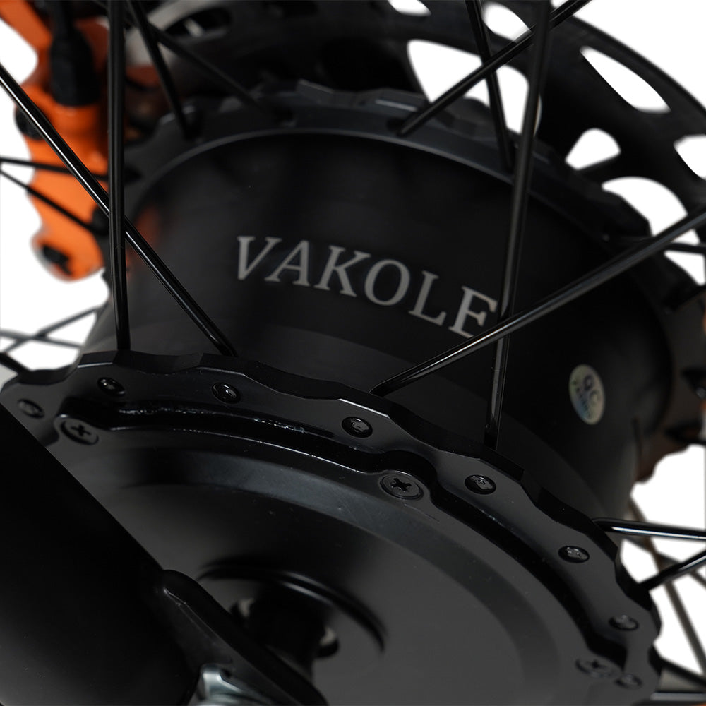 Vakole CO20 MAX 750W*2 Doppio Motore 20" Fat Bike Bicicletta Elettrica Pieghevole Batteria Samsung 20Ah