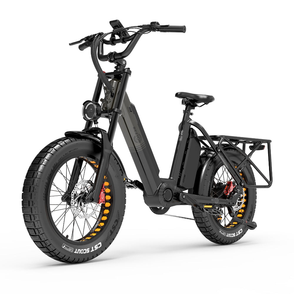 Bezior X500 Max 750W Motore Bafang 20" Fat Bike 1800Wh Batteria Samsung Cargo E-Bike