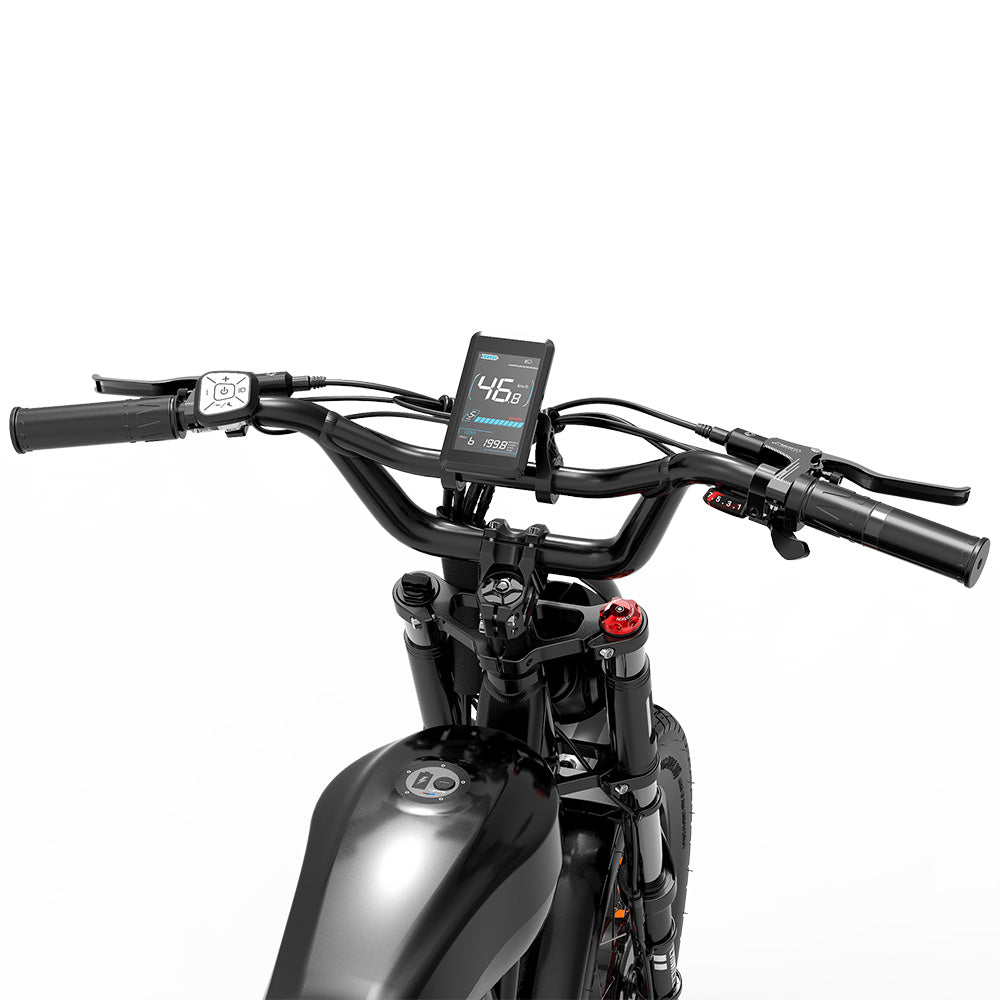 Lankeleisi X-Black Knight 1000W * 2 Dual Motor 20 "Fat Bike Volledig geveerde E-Mountainbike 45Ah Samsung Batterij E-MTB