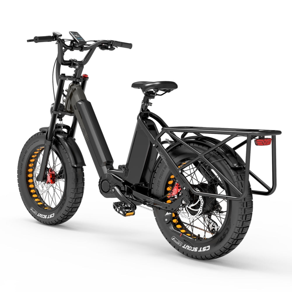 Bezior X500 Max 750W Bafang Motor 20 "Fat Bike Cargo E-Bike Dubbele batterijen 37,5 Ah Samsung batterij