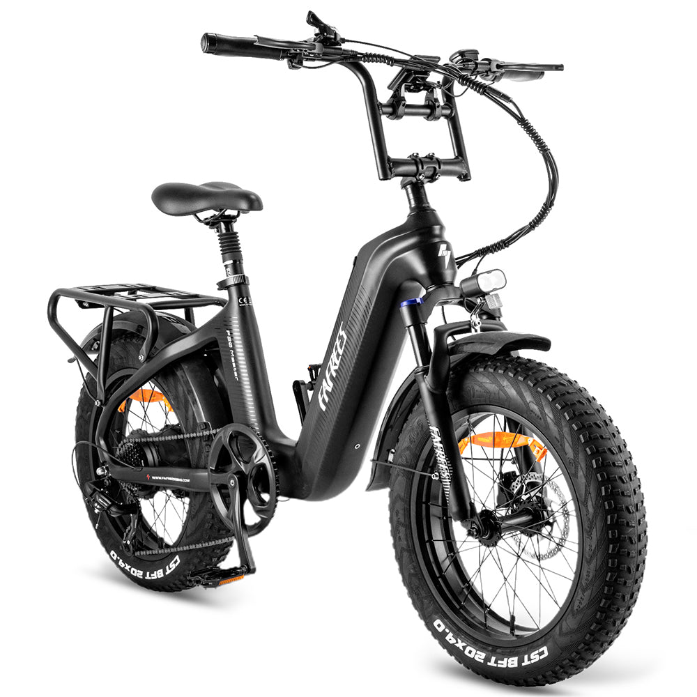 Fafrees F20 Master 500W 20" Kohlefaser Fatbike Elektrofahrrad 1080Wh Samsung Akku E-bike