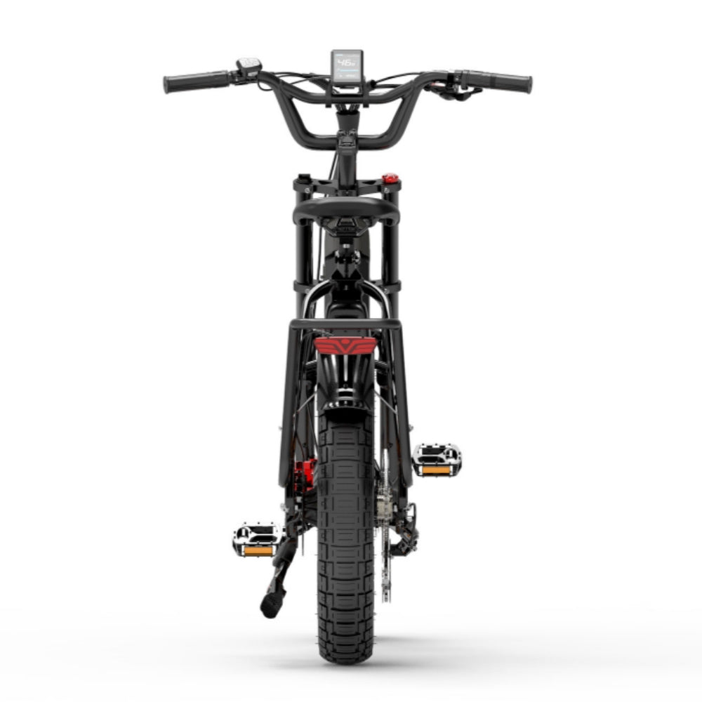 Bezior X500 Max 750W Bafang Motor 20 "Fat Bike Cargo E-Bike Dubbele batterijen 37,5 Ah Samsung batterij