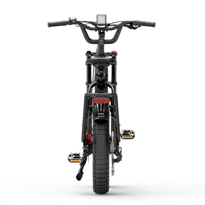 Bezior X500 Max 750W Bafang Motor 20" Fatbike Elektrisches Lastenfahrrad Doppelbatterien 37,5 Ah Samsung Batterie