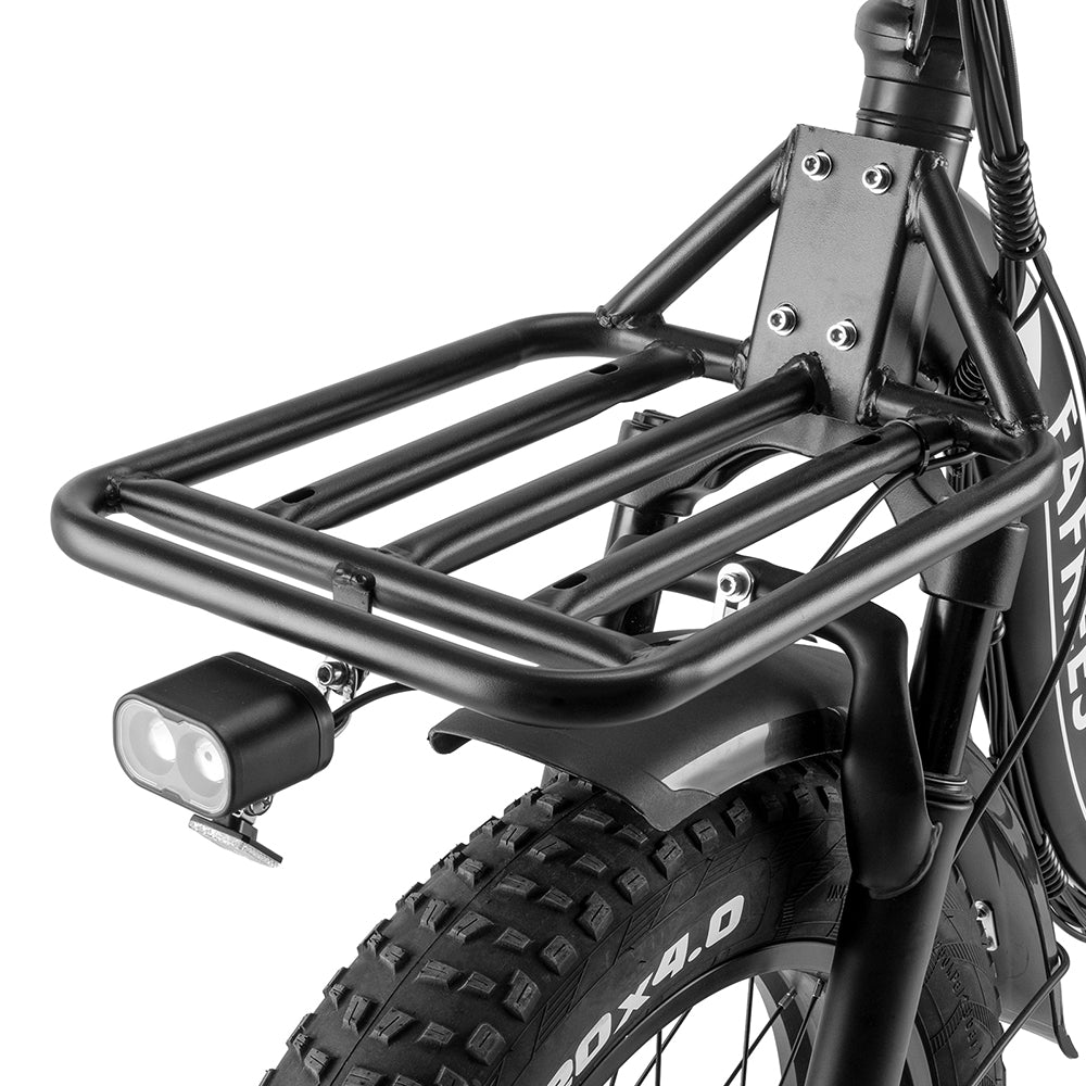 Bicicletta elettrica pieghevole Fafrees F20 X-Max 750W 20" Fat Bike con batteria Samsung 48V 30Ah