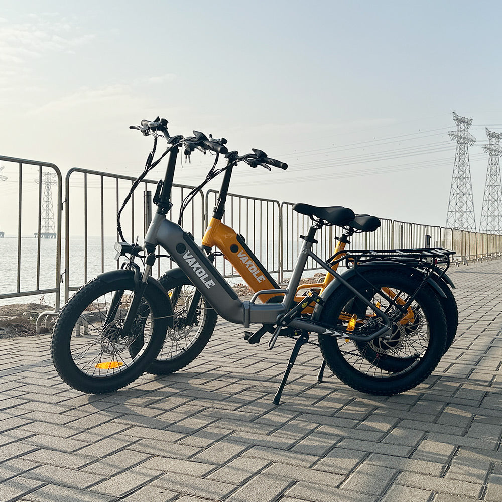 Pacchetto Vakole VT4 * 2 E-Bike