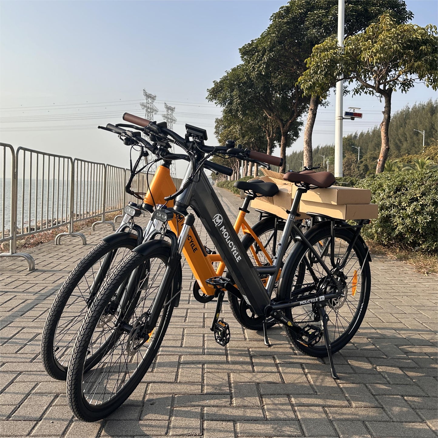 Molicycle R1 250W 26" Elektrische Trekkingfiets 522Wh City E-bike Ondersteuning APP